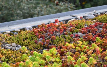 the cost of Swanage green roof installation