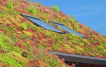 Swanage living roof systems