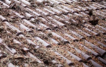 Swanage roof cleaning companies