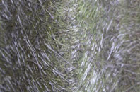 Swanage fibreglass roof work